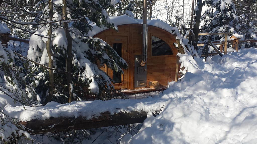 Willa Gusia, Apartamenty Zakopane Kültér fotó