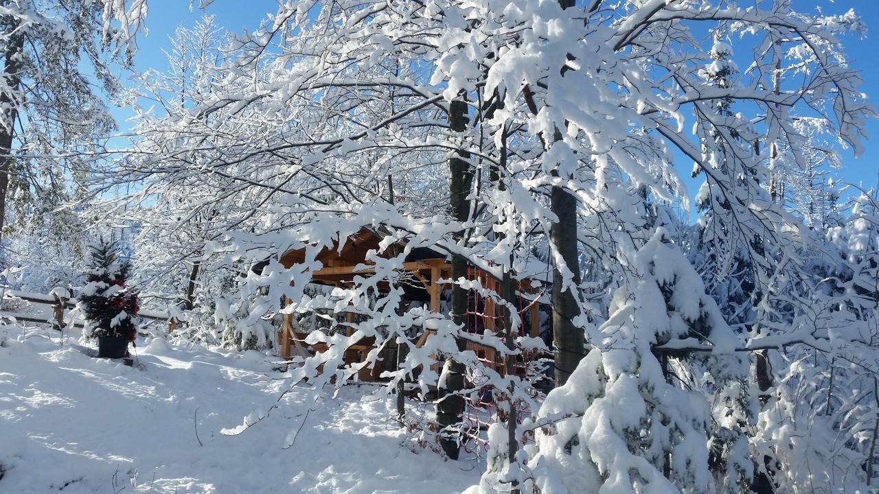Willa Gusia, Apartamenty Zakopane Kültér fotó