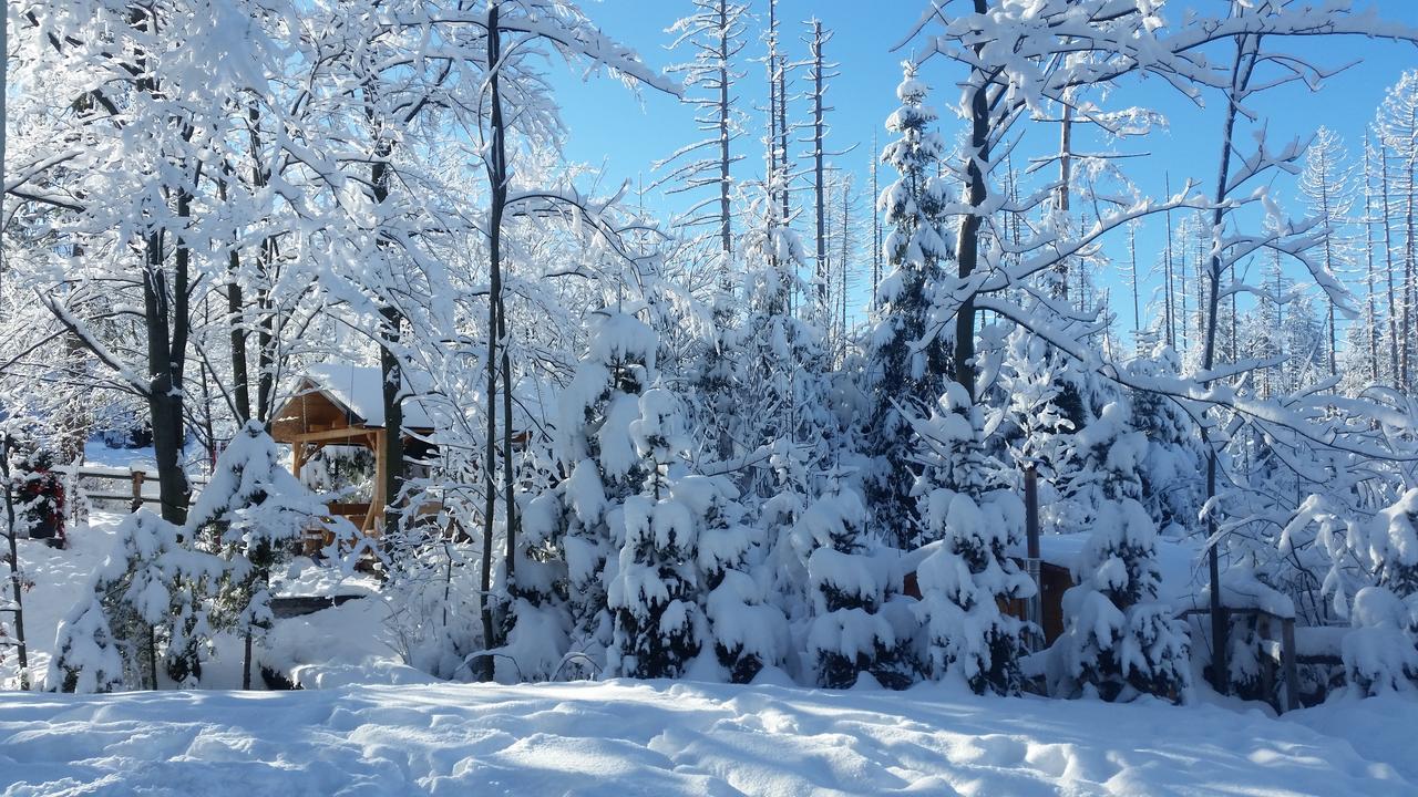 Willa Gusia, Apartamenty Zakopane Kültér fotó