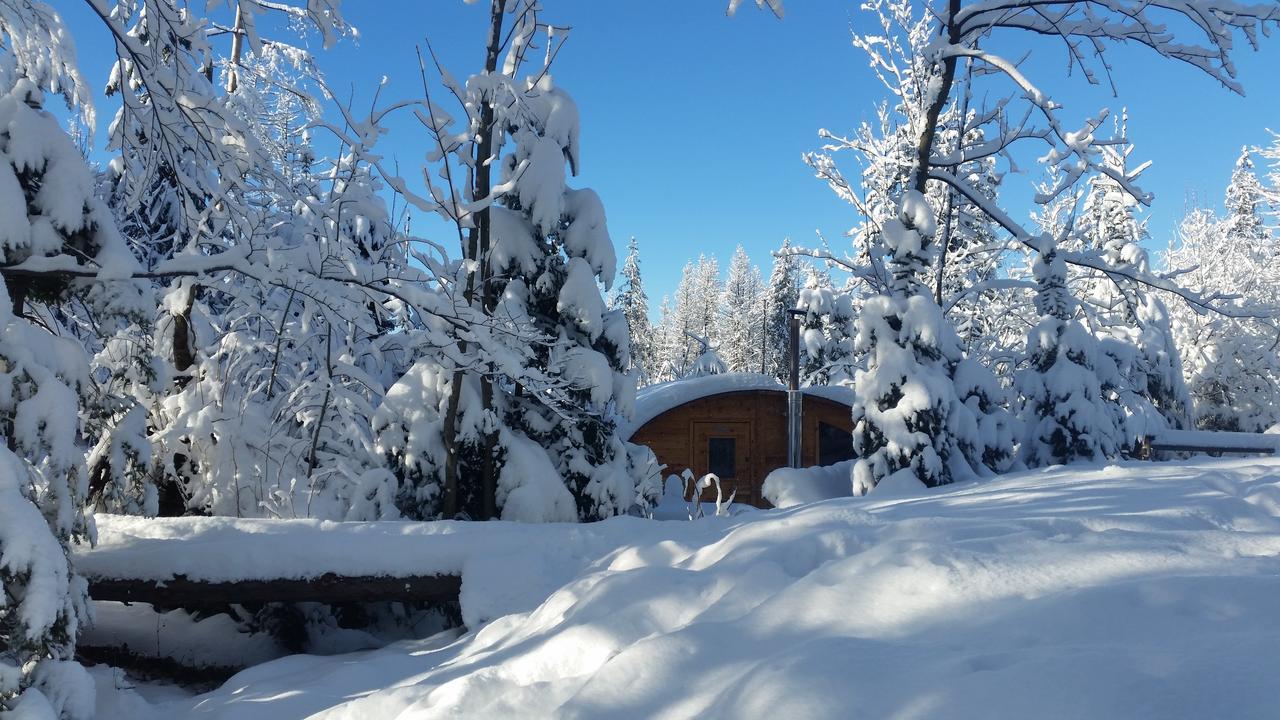 Willa Gusia, Apartamenty Zakopane Kültér fotó