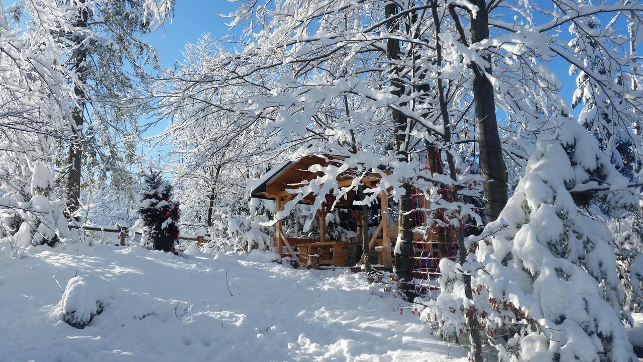 Willa Gusia, Apartamenty Zakopane Kültér fotó